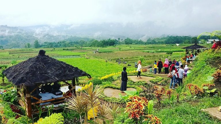 desa-wisata.jpg