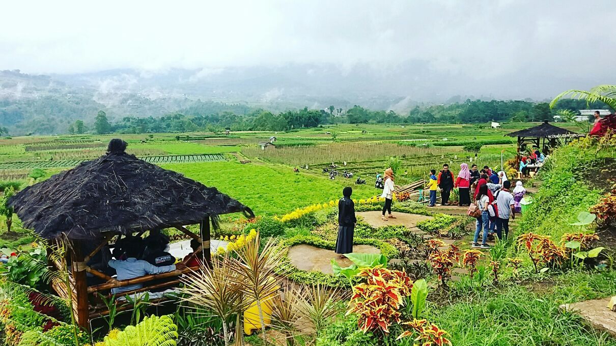 desa-wisata.jpg