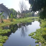 Sungai Pringrejo Sering Mengeluarkan Bau Menyengat, Diduga Berasal dari Limbah Pabrik Batik di Kota Pekalongan