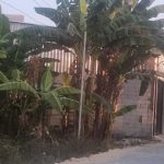 Virall ditemukan gudang solar ilegal milik ARIS GAWON polres kudus tutup mata !!!