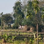 Gudang Misterius di Tengah Sawah Blora Disorot, Diduga Jadi Lokasi Oplos Biosolar Tanpa Izin